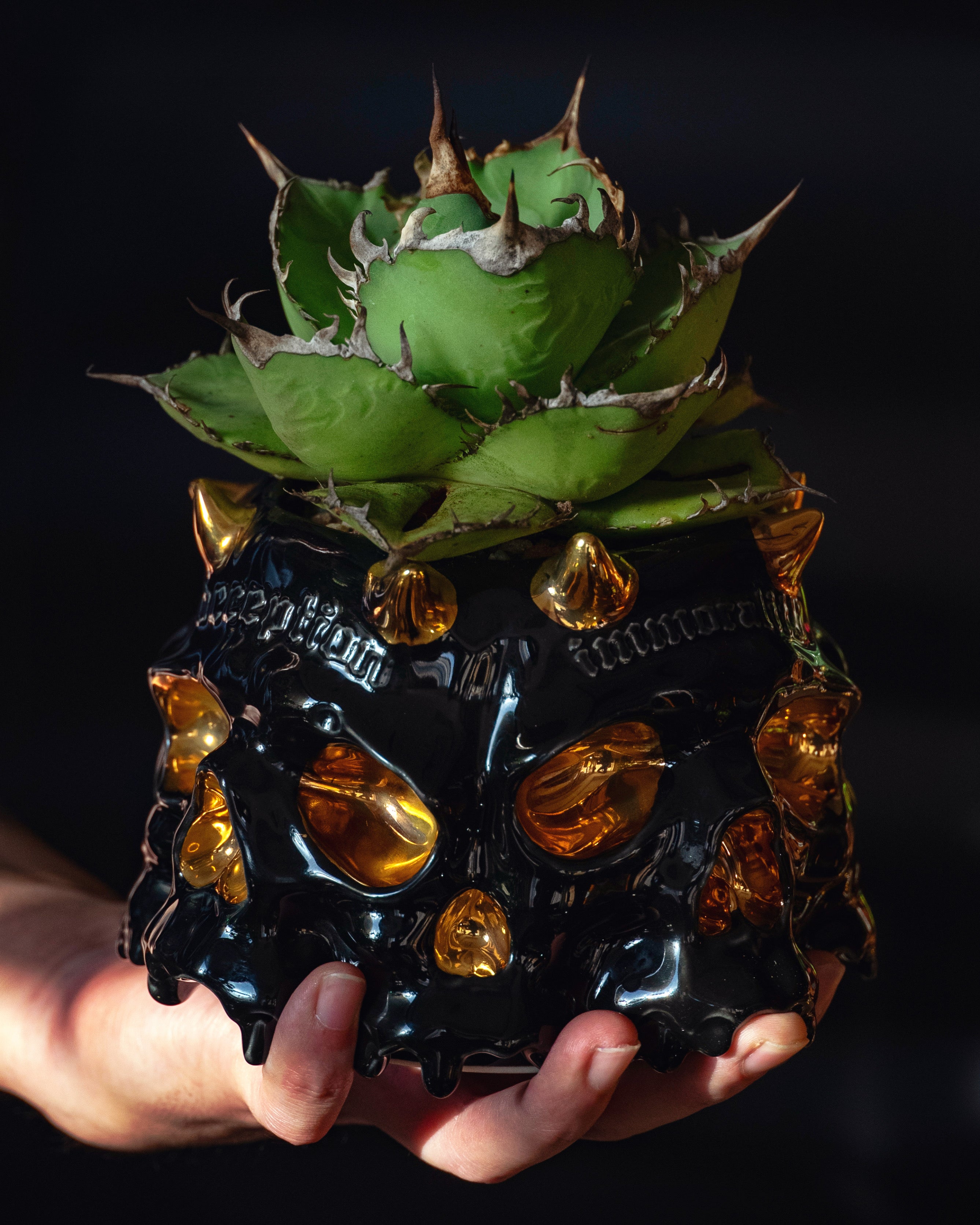 POTTERY – FILOMELA